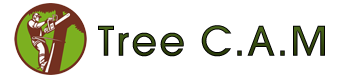 Professional Tree Surgery in Chorley